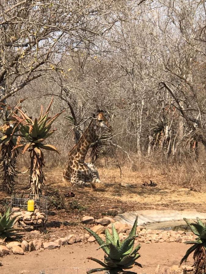 Lituba Place Marloth Park Exterior foto