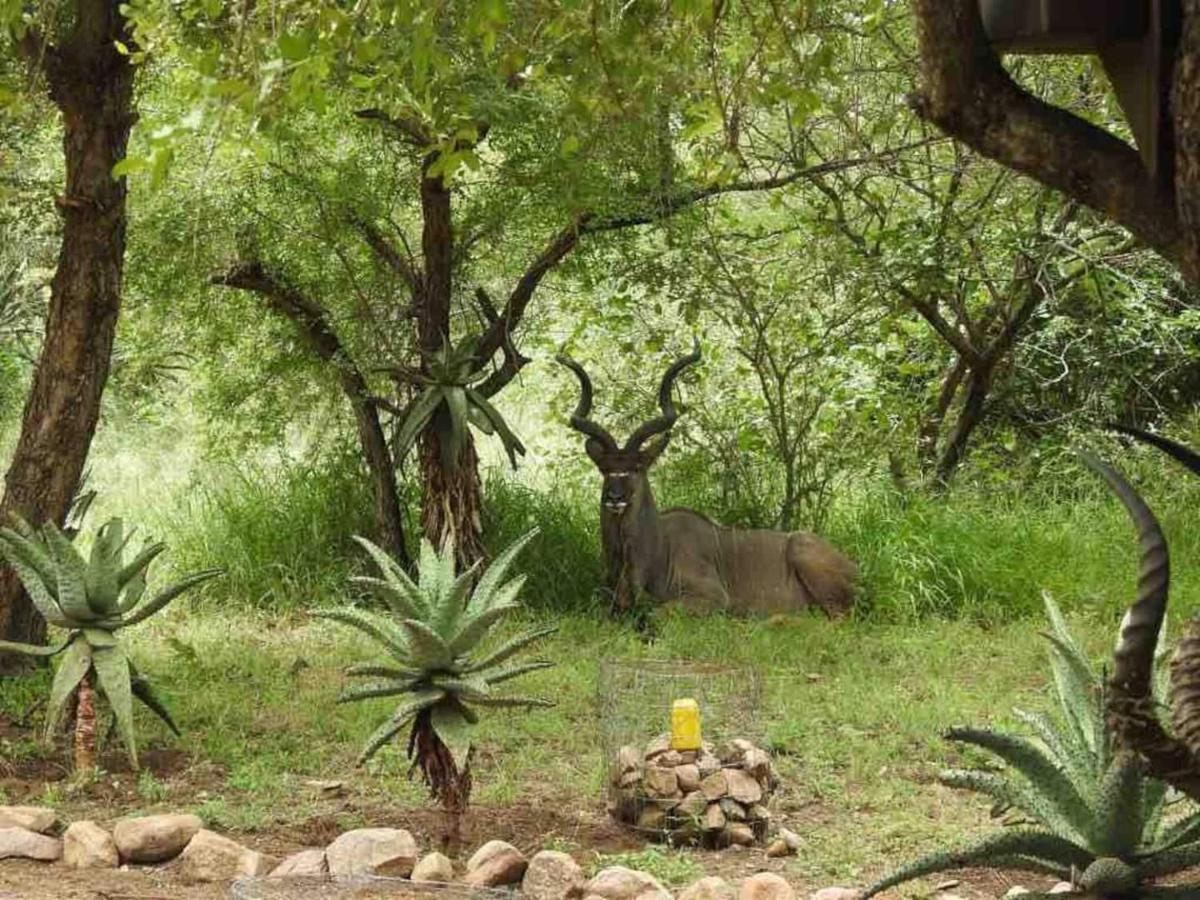 Lituba Place Marloth Park Exterior foto