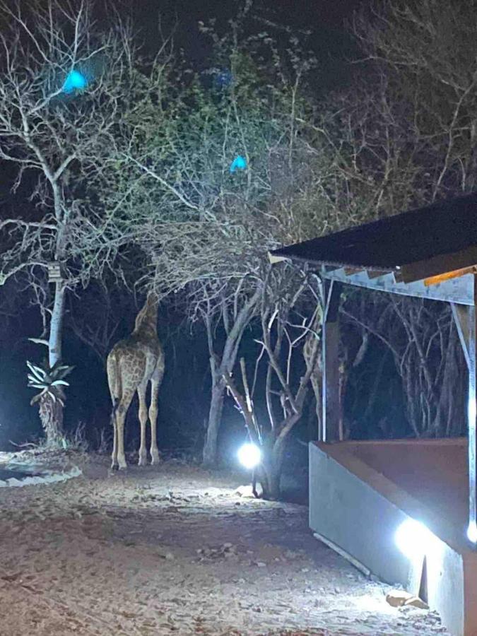 Lituba Place Marloth Park Exterior foto